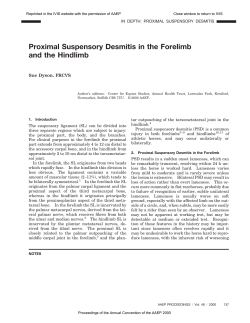 Proximal Suspensory Desmitis in the Forelimb and the Hindlimb