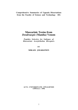 Muscarinic Toxins from Dendroaspis (Mamba) Venom