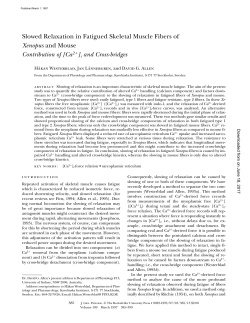 Slowed Relaxation in Fatigued Skeletal Muscle Fibers of Xenopus