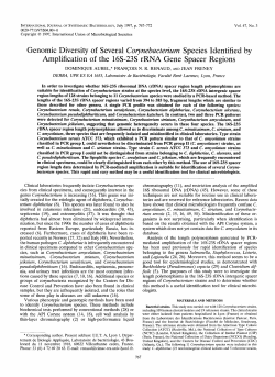 Genomic Diversity of Several Corynebacterium Species Identified by