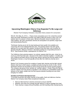Upcoming Washington Cherry Crop