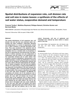 Spatial distributions of expansion rate, cell division rate and cell size