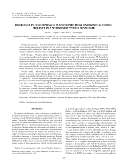 Divergence in gene expression is uncoupled from