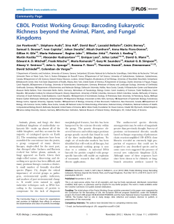 CBOL Protist Working Group: Barcoding Eukaryotic Richness