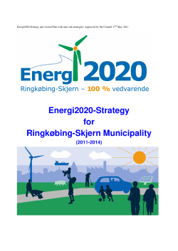 Energi2020-Strategy for Ringk&oslash;bing-Skjern