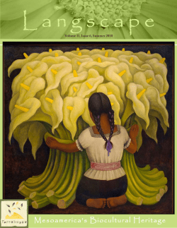 Mesoamerica`s Biocultural Heritage
