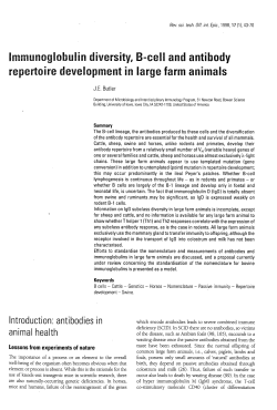 Immunoglobulin diversity, B-cell end antibody repertoire