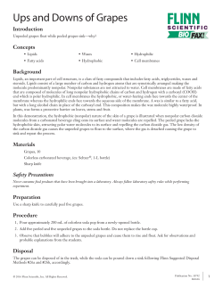 Ups and Downs of Grapes