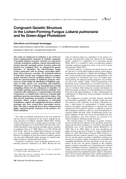 Congruent Genetic Structure in the Lichen