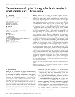 Three-dimensional optical tomographic brain imaging in small