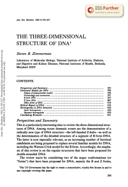 The Three-Dimensional Structure of DNA