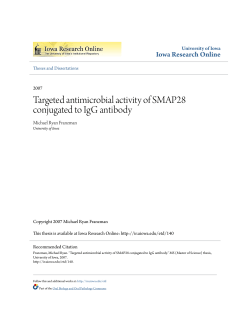 Targeted antimicrobial activity of SMAP28 conjugated to IgG antibody