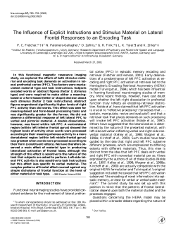 The Influence of Explicit Instructions and Stimulus Material on