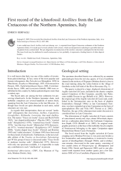 First record of the ichnofossil Atollites from the Late Cretaceous of