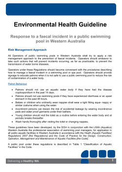 A4 flyer 2 template - royal blue PMS 288