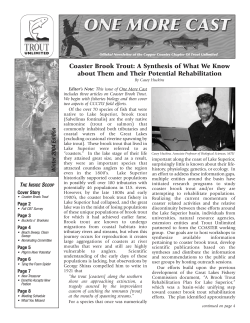 Coaster Brook Trout: A Synthesis of What We Know about Them and