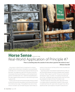 Horse sense - Hope Reins