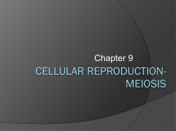 meiosis - rgreenbergscience