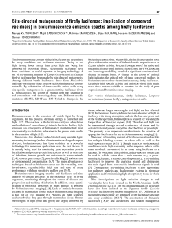 Site-directed mutagenesis of firefly luciferase