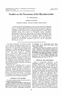 Studies on the Taxonomy of the Myxobacterdes