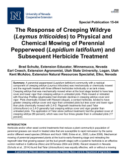 The Response of Creeping Wildrye (Leymus triticoides) to Physical