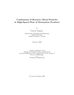Combustion of Reactive Metal Particles in High