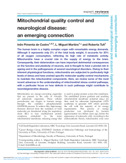 an emerging connection - Cambridge University Press