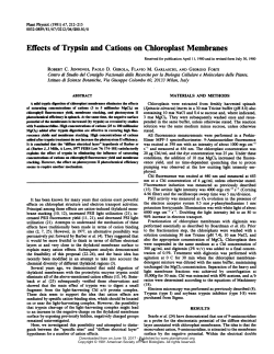 Effects of Trypsin and Cations on Chloroplast Membranes
