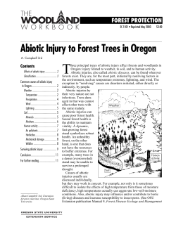 Abiotic Injury to Forest Trees in Oregon