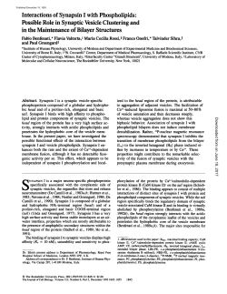 Interactions of Synapsin I with Phospholipids