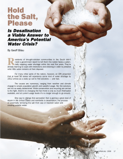 Hold the Salt, Please