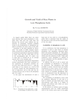Growth and Yield of Rice Plants in Low Phosphorus Soils