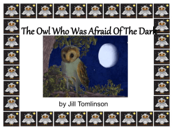 The Owl Who Was Afraid Of The Dark