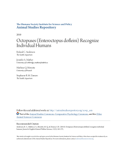 Octopuses (Enteroctopus dofleini) Recognize Individual Humans