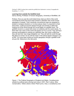 Looking outside the Goldfish bowl