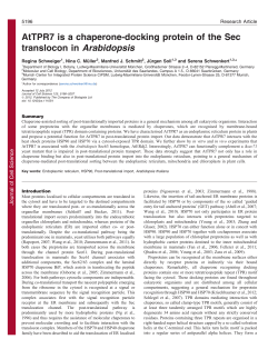 AtTPR7 is a chaperone-docking protein of the Sec translocon in