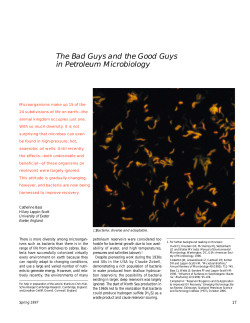 The Bad Guys and the Good Guys in Petroleum Microbiology