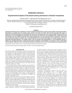 Experimental analysis of the blood