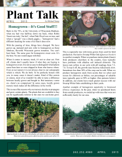 Plant Talk - Johnsons Nursery