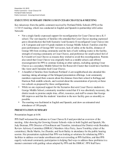 EXECUTIVE SUMMARY FROM 11/10/15 CESAR CHAVEZ K