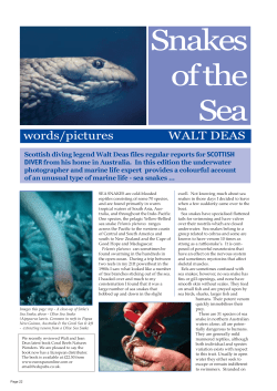 Snakes of the Sea