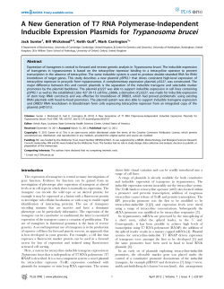 A New Generation of T7 RNA Polymerase