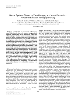Kosslyn (1997) Neural systems shared by visual imagery and visual