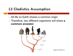 Tax and Evol 3 Cladogram Feb 2017