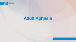 Adult Aphasia