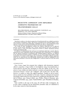 selective adhesion and impaired adhesive properties of transformed
