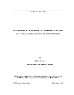 An Examination of the Mechanism and Conservation