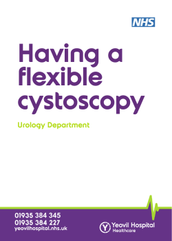 Flexible Cystoscopy 2016 np.indd