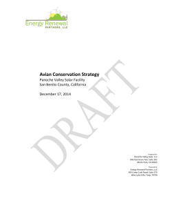 Avian Conservation Strategy