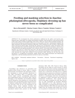 Feeding and masking selection in Inachus phalangium (Decapoda